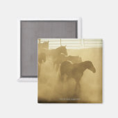 Aimant Chevaux en corail (Recto/Verso)
