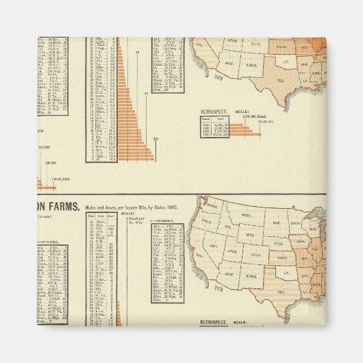 Aimant Chevaux, mules, ânes, moutons (Devant)