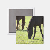 Aimant Chevaux pâturant 2 (Recto/Verso)