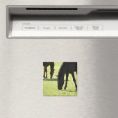 Aimant Chevaux pâturant 2 (In Situ (Lave-vaisselle))