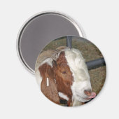 Aimant Chèvre (Recto/Verso)