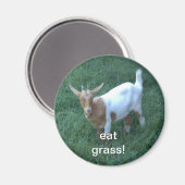 Aimant chèvre (Recto/Verso)