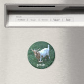 Aimant chèvre (In Situ (Lave-vaisselle))