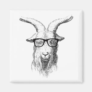 Aimant Chèvre de Hipster animal drôle avec lunettes