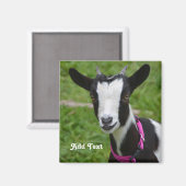 Aimant Chèvre naine noire et blanche personnalisée (Recto/Verso)