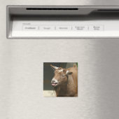 Aimant chèvre pygmée (In Situ (Lave-vaisselle))