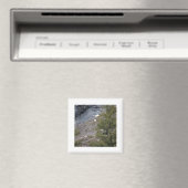 Aimant Chèvres de montagne (In Situ (Lave-vaisselle))