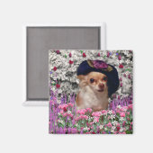 Aimant Chi Chi en Fleurs - Chihuahua chiot en Casquette m (Recto/Verso)