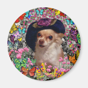 Aimant Chi de Chi dans les papillons - chiwawa