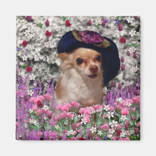 Aimant Chi de Chi en fleurs - chiot de chiwawa dans le