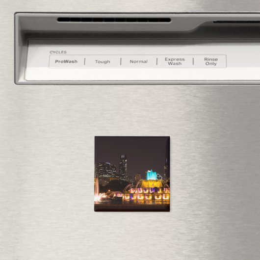 Aimant Chicago Grant Park (In Situ (Lave-vaisselle))