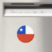 Aimant chicane (In Situ (Lave-vaisselle))