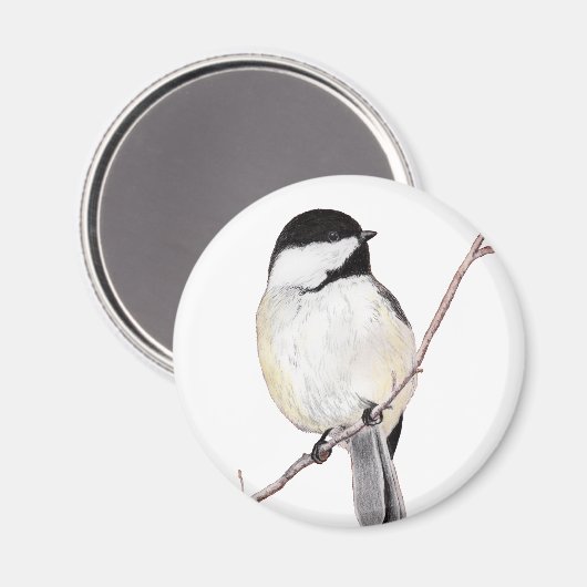Aimant Chickadee (Recto/Verso)