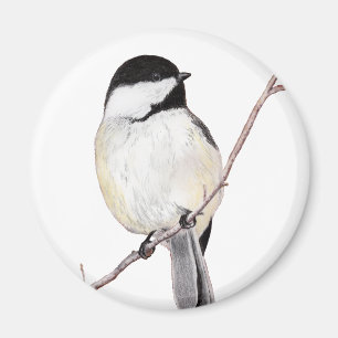 Aimant Chickadee