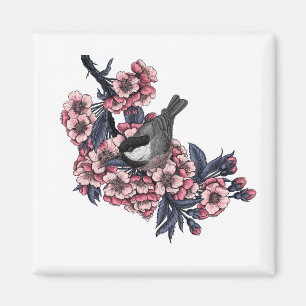 Aimant Chickadee on a blooming cherry branch