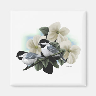 Aimant Chickadees couverts par noir