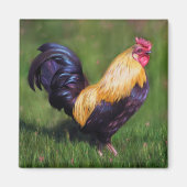 Aimant Chicken Art Stuart Bantam Rooster (Devant)