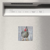 Aimant Chicken on deck, Silver Laced Wyandotte (In Situ (Lave-vaisselle))