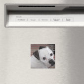 Aimant Chien (In Situ (Lave-vaisselle))