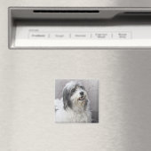 Aimant Chien (In Situ (Lave-vaisselle))