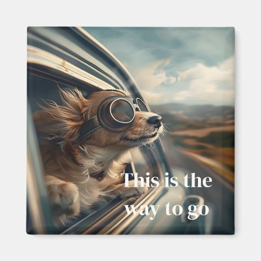 Aimant Chien (Devant)