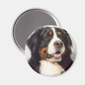 Aimant Chien (Recto/Verso)