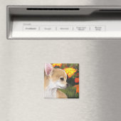 Aimant Chien 84 (In Situ (Lave-vaisselle))