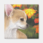 Aimant Chien 84 (Devant)