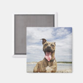 Aimant chien à la plage (Recto/Verso)