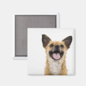 Aimant Chien à soupe (Recto/Verso)