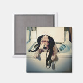 Aimant Chien aidant avec le lavage (Recto/Verso)