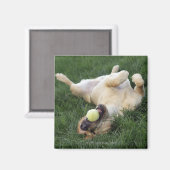 Aimant Chien allongé dans l'herbe avec balle de tennis (Recto/Verso)