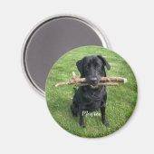 Aimant Chien animal de compagnie Nom et photo personnalis (Recto/Verso)