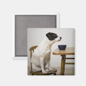 Aimant Chien assis sur une chaise devant un bol sur (Recto/Verso)