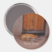 Aimant Chien au repos (Recto/Verso)