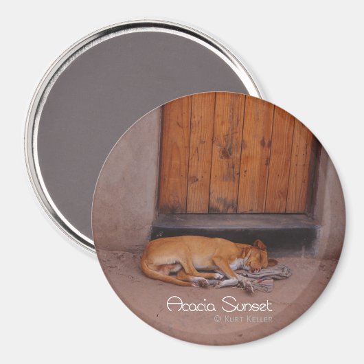 Aimant Chien au repos (Recto/Verso)