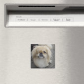 Aimant chien aux yeux (In Situ (Lave-vaisselle))