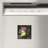 Aimant Chien avec balle de tennis (In Situ (Lave-vaisselle))