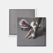 Aimant Chien avec bol de diva, renifler le sol (Recto/Verso)