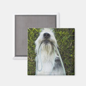 Aimant Chien avec laisse dans la bouche (Recto/Verso)