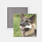 Aimant Chien avec os (Recto/Verso)