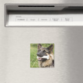 Aimant Chien avec os (In Situ (Lave-vaisselle))