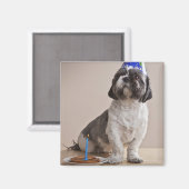 Aimant Chien ayant un anniversaire (Recto/Verso)