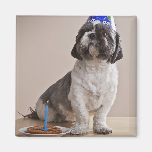 Aimant Chien ayant un anniversaire (Devant)