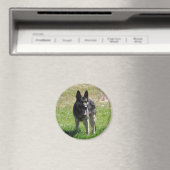 Aimant Chien berger allemand (In Situ (Lave-vaisselle))