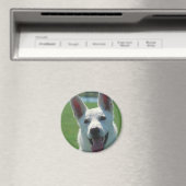 Aimant Chien berger allemand blanc (In Situ (Lave-vaisselle))