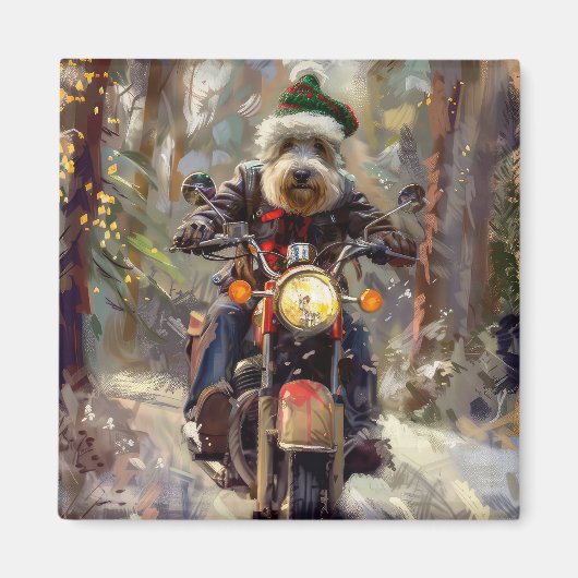 Aimant Chien Bernedoodle à moto Noël (Devant)