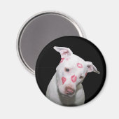 Aimant Chien blanc amoureux, Scellé avec baisers en bâton (Recto/Verso)