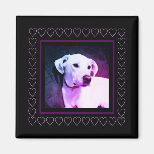 Aimant Chien blanc mignon Coeurs pourpres Cadre Saint-Val