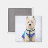 Aimant Chien blanc vêtu dans la neige. (Recto/Verso)